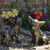 Dogs^Statues & Sculptures Chihuahua Dogs Bronze Metal Garden Ornaments