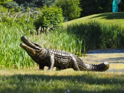 Reptiles^Statues & Sculptures Crocodile Life-Size Bronze Metal Garden Statue