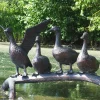 Ducks^Statues & Sculptures Duck Voyage Bronze Metal Garden Ornament