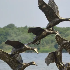 Ducks^Statues & Sculptures Flight of Ducks Life-Size Bronze Metal Garden Statue