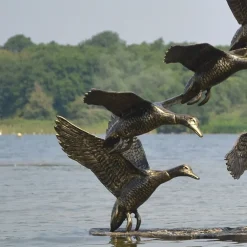 Ducks^Statues & Sculptures Flight of Ducks Life-Size Bronze Metal Garden Statue