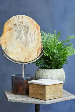 Table Top|Abstract^Statues & Sculptures Forest Fusion 38cm Wood Indoor Sculpture