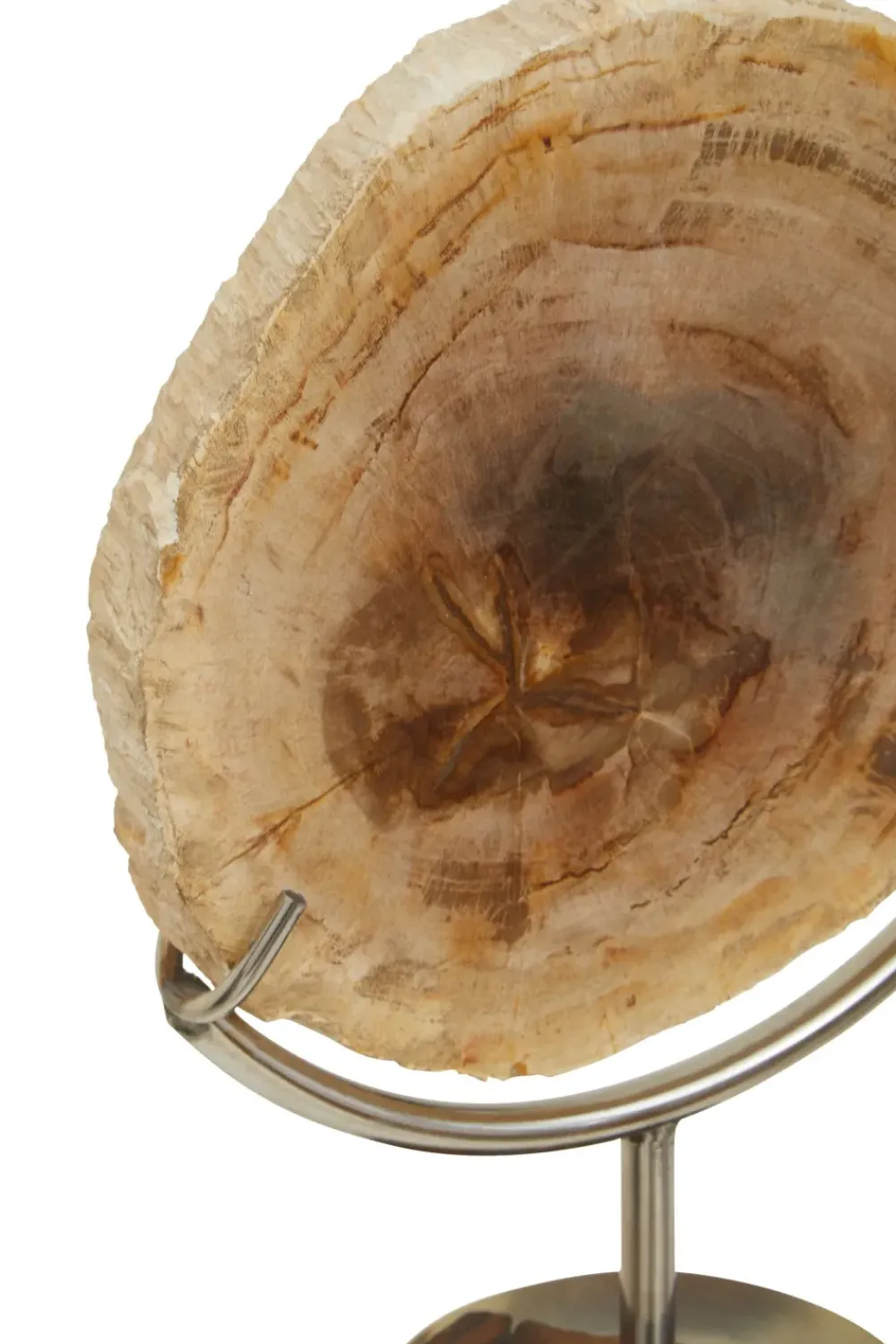 Table Top|Abstract^Statues & Sculptures Forest Fusion 38cm Wood Indoor Sculpture