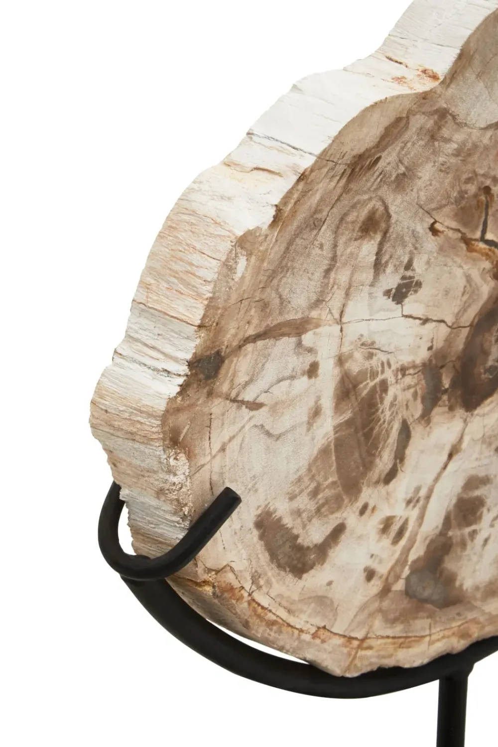 Table Top|Abstract^Statues & Sculptures Forest Fusion 50cm Wood Indoor Sculpture