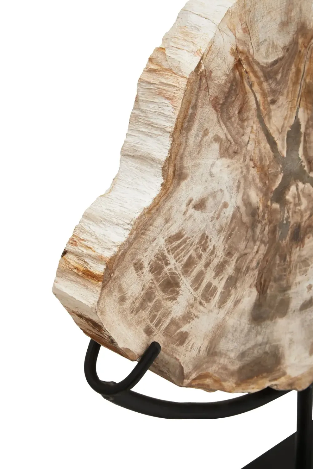 Table Top|Abstract^Statues & Sculptures Forest Fusion 50cm Wood Indoor Sculpture