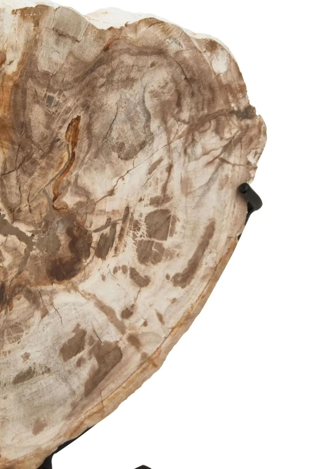 Table Top|Abstract^Statues & Sculptures Forest Fusion 50cm Wood Indoor Sculpture