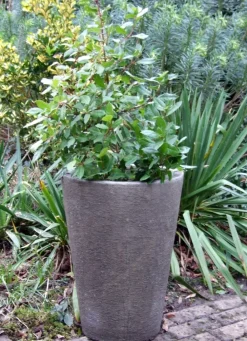 Large|Round^Statues & Sculptures Grand Long Tom Vase Stone Garden Planter