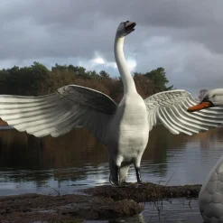 Swans^Statues & Sculptures Grand Pair of Swans Antique White Metal Garden Statues
