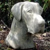 Dogs^Statues & Sculptures Great Dane Head Bust Stone Garden Ornament