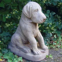 Dogs^Statues & Sculptures Great Dane Puppy Stone Garden Ornament