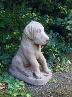 Dogs^Statues & Sculptures Great Dane Puppy Stone Garden Ornament