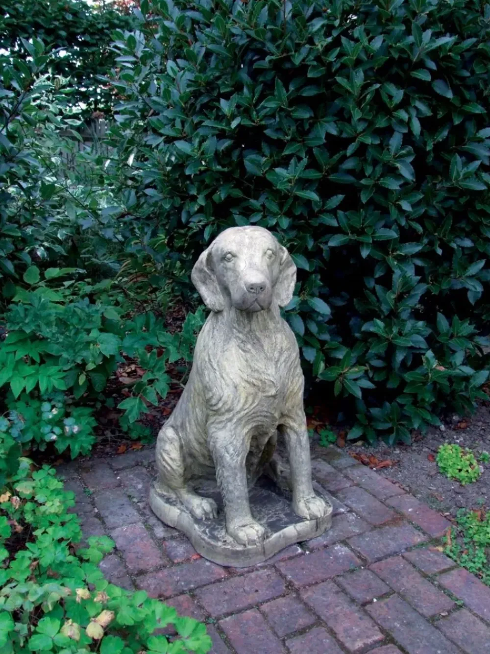 Dogs^Statues & Sculptures Irish Setter Stone Garden Statue