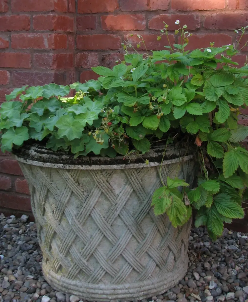 Large|Round^Statues & Sculptures Jardinier Basket Weave 40cm Stone Garden Planter