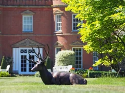 Stags & Deers^Statues & Sculptures Laying Deer Stag Bronze Metal Garden Statue