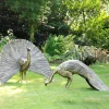 Peacocks^Statues & Sculptures Majestic Peacocks Life-Size Bronze Metal Garden Statues