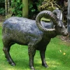 Farm^Statues & Sculptures Manx Loaghtan Ram Life-Size Bronze Metal Garden Statue