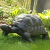Reptiles^Statues & Sculptures Tortoise Bronze Metal Garden Ornament