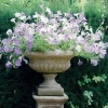 Large|Round^Statues & Sculptures Victorian Medium Stone Garden Planter